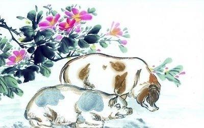属猪人2025年5月份运势运程如何 什么运最好