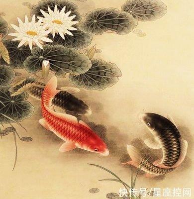 属猪人2025年5月份运势运程如何 什么运最好