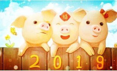 属猪人2025年本命年结婚适合吗
