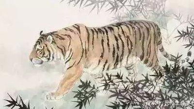 属虎2025年运势分析：吉凶并存，祸福相依