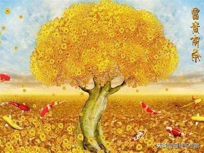 属猪人2025年桃花运,2025属猪的桃花位在哪
