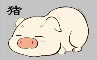 属猪人2025年每月运势怎么样