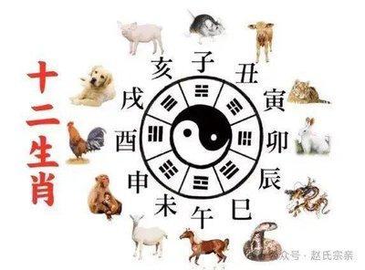 属猪人2024本命年整体运势情况