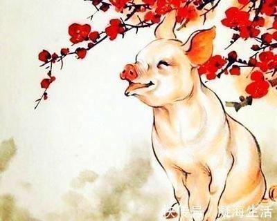 属猪人2025财运怎么样 生肖猪的贵人有哪几个
