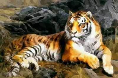 属虎人一生命运和姻缘 属虎人会幸福吗 属虎人一生命运和姻缘 属虎人会幸福吗