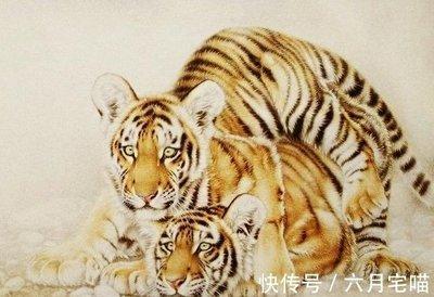 属虎人和属龙人能结婚生子吗 属虎人和属龙人的关系