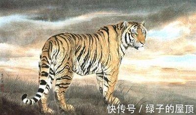 属虎人和属龙人能结婚生子吗 属虎人和属龙人的关系