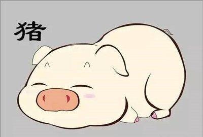 属猪人的婚姻与命运   属猪人出生月的命运