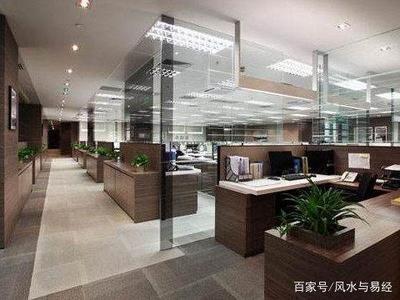 属虎人适合在办公室中摆放什么风水植物
