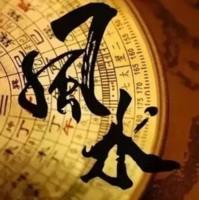 属虎人适合在办公室中摆放什么风水植物