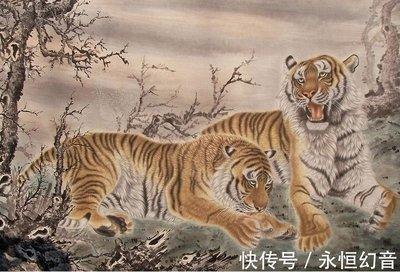 属虎农历四月出生的人 属虎在哪年财运最好