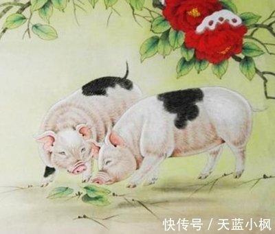 属兔与属鼠相结合怎么样长长久久吗