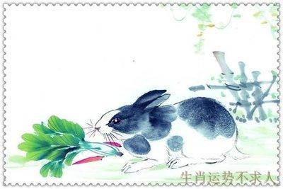 属兔人出生日的命运 这几天出生的属兔人命好