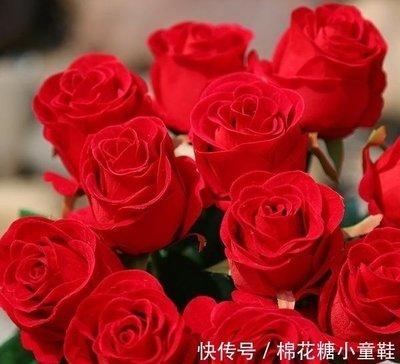 属虎和属龙的婚姻会长久吗 有哪些需要注意的