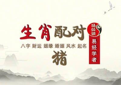 属兔人和属猪人能结婚生子吗 结婚的幸福指数