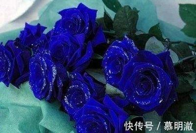 属兔人和属羊人能结婚生子吗 两人生活可以幸福吗