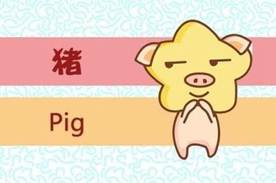 属猪女的婚后改变 婚前婚后的变化
