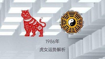 属虎女2025蛇年事业运 虎女今年旺事业要怎么做
