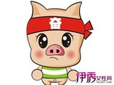 属猪怎么那么讨厌 为什么都不喜欢属猪的