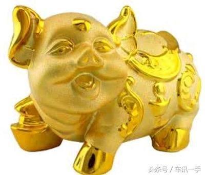 属猪生肖一生运程如何 什么月份出生的属猪人好