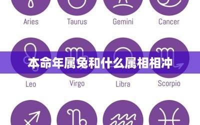 属兔人相克不合的生肖是哪个容易犯冲