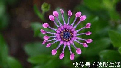 属猪男会爱上什么样的女人 会找什么样女朋友