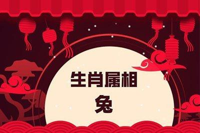 属兔人跟什么属相结婚最好 属兔女想要什么样的爱情