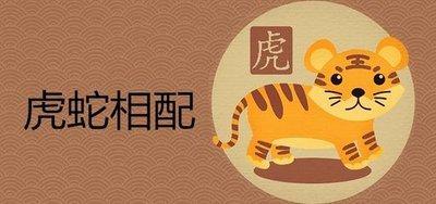 属虎属虎适合做夫妻吗 夫妻生活和谐吗