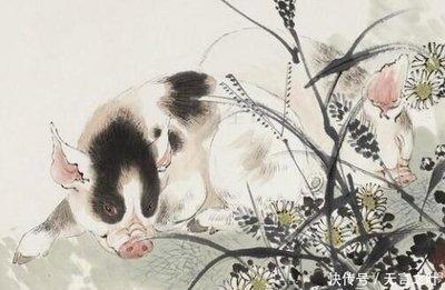 属猪男喜欢什么样女人 什么样的女人吸引属猪男