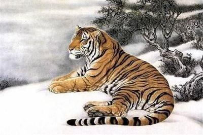 属虎是哪一年出生的，属虎的几月出生最好