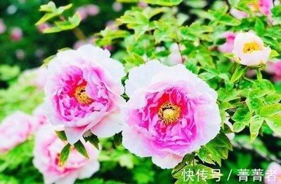 属虎男分手后的表现 会后悔和你分手吗