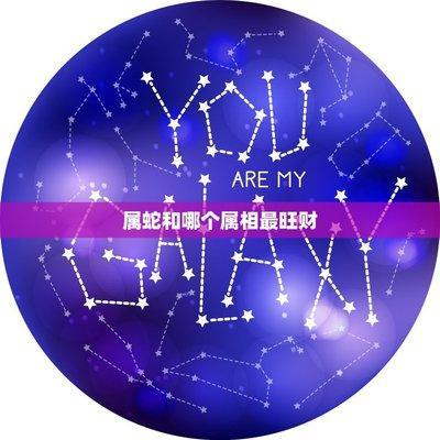 属兔和属狗的合财运吗 属兔和属狗的合作好吗