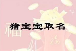 属猪的专用字有哪些 父母给猪宝宝起名最爱用的字