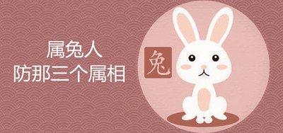 属兔和属鸡的相冲吗 与属兔人相冲的生肖是什么