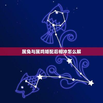 属兔和属鸡的相冲吗 与属兔人相冲的生肖是什么
