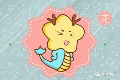 属猪的人和属龙的人合不合婚配好不好