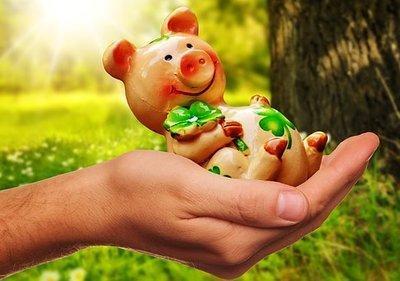 属猪的人在2025本命年中是否需要注意健康