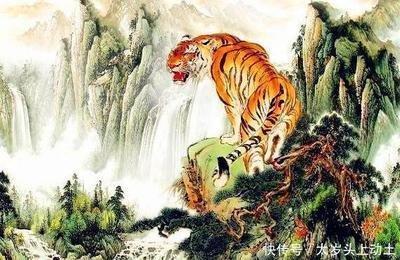 属虎的人一月出生好不好 哪些月份出生最苦