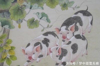 属猪的人最怕什么东西 属猪人最怕的是谁