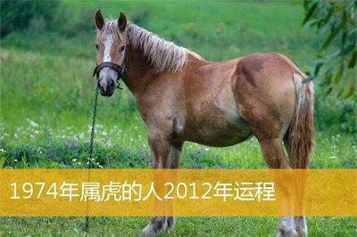 属虎的人命好吗 蛇年出生的人真的苦吗