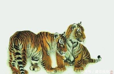 属猪的什么时候发财 什么时候创业最好