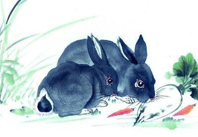 属兔婚配哪个属相最好 属兔人与这几个生肖配对好