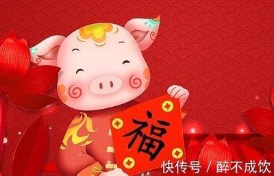 属猪的几月出生最好 几月出生的命运最好