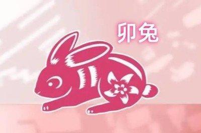 属兔想要什么样的生活女 属兔人的理想生活