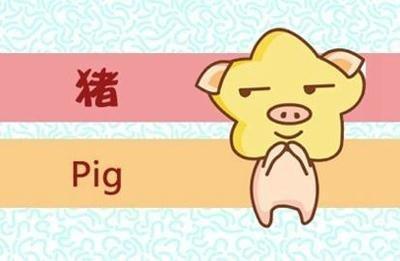 属猪的多大结婚最好，2025年能不能结婚