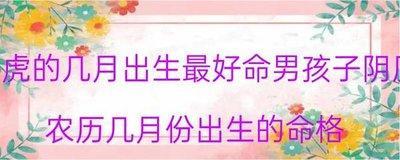属虎的几月出生最好命男孩子 属虎男在哪些月份出生好