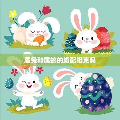 属兔爱情观怎样 与什么属相配对最为幸福
