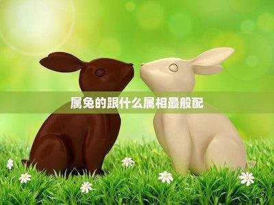 属兔爱情观怎样 与什么属相配对最为幸福