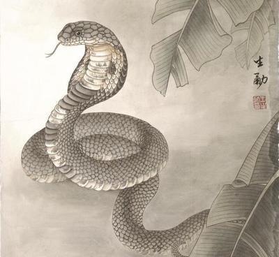 属猪的女孩不喜欢哪种男生 与这几种男人不会有结果