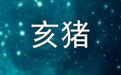 属猪的犯克属相 遇上什么属相最倒霉